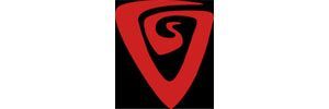 Vortex Global Services logo