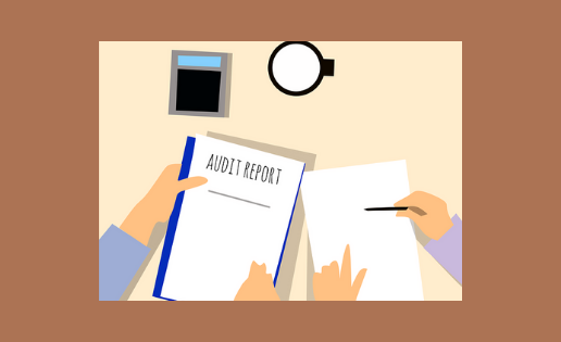 Financial Advice - Audit Report