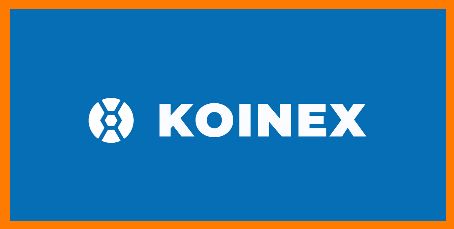 Koinex | Failed Startups In India