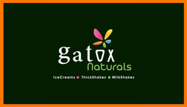 Gatox naturals logo