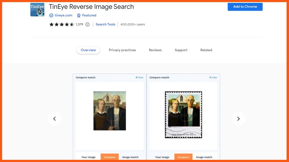 TinEye Reverse Image Search - Best Chrome Extensions to Boost Productivity