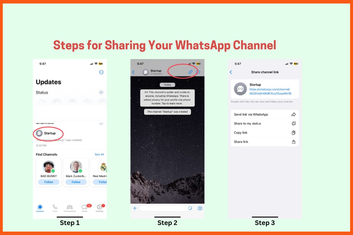 Sharing Your WhatsApp Channel