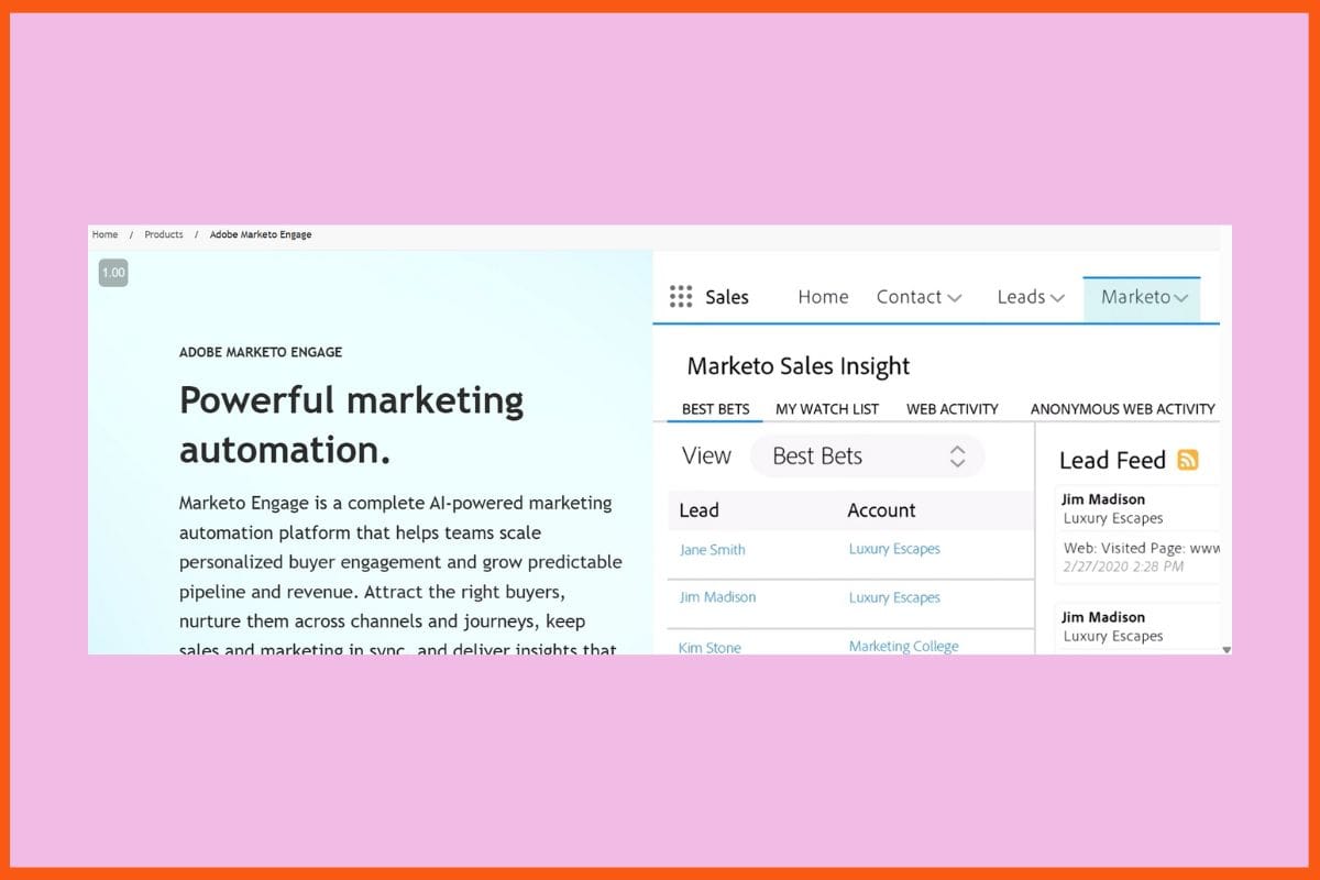 Marketo - Tools for Effortless Lead Generation