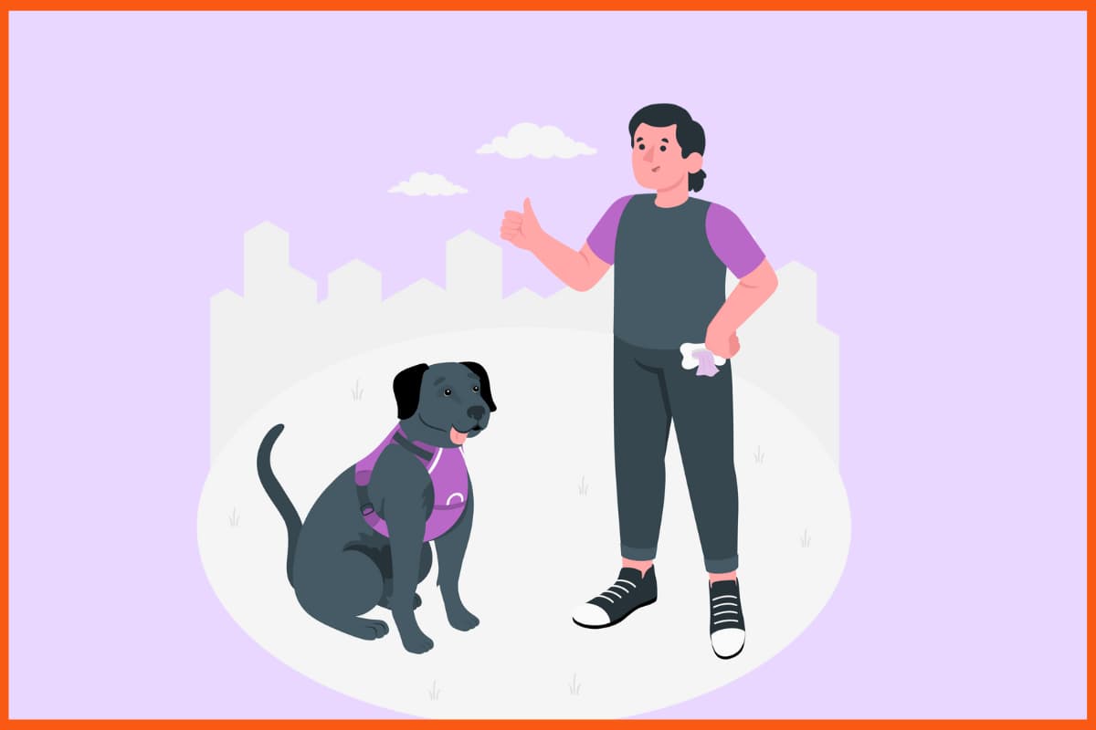 Business Idea for Students Without Investment - Pet Sitting