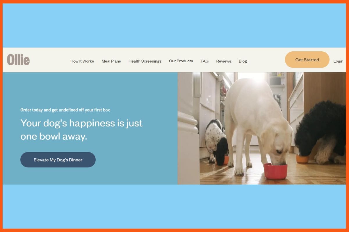 Ollie - Top AI Meal Planner Tools