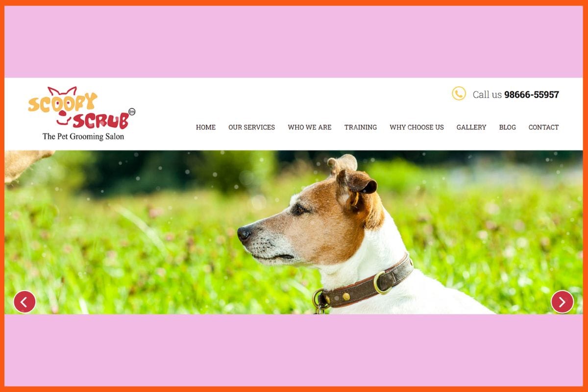 Scooby Scrub - Top Pet Care and Pet Food Franchises in India