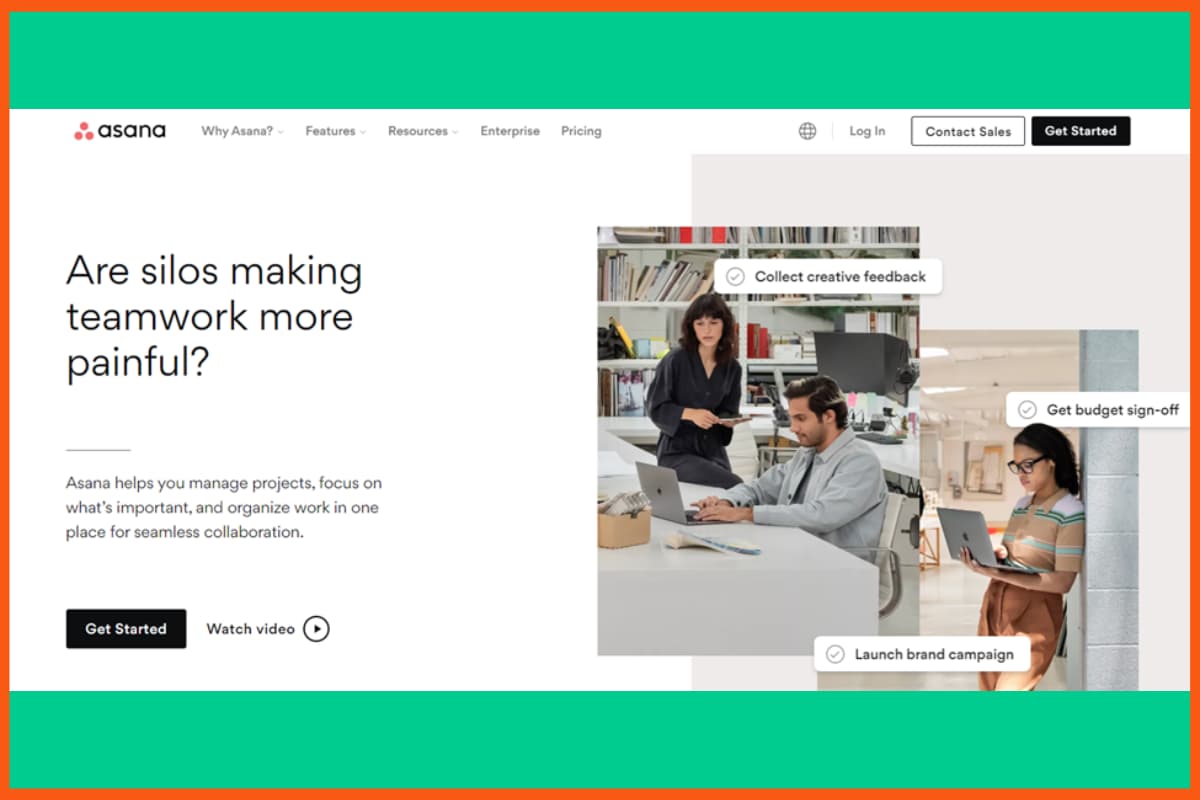 Project Management Software in India - Asana