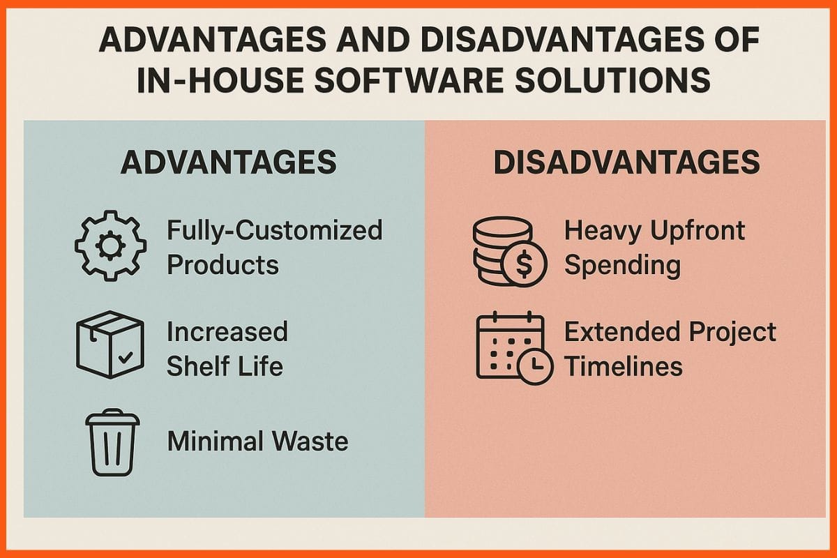Advantages and Disadvantages of In-House Software Solutions