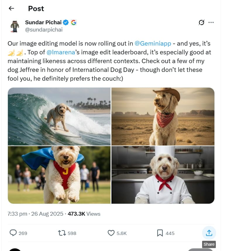 Why the Internet Is Going Bananas Over Google’s Nano Banana Trend, How You Can Too?