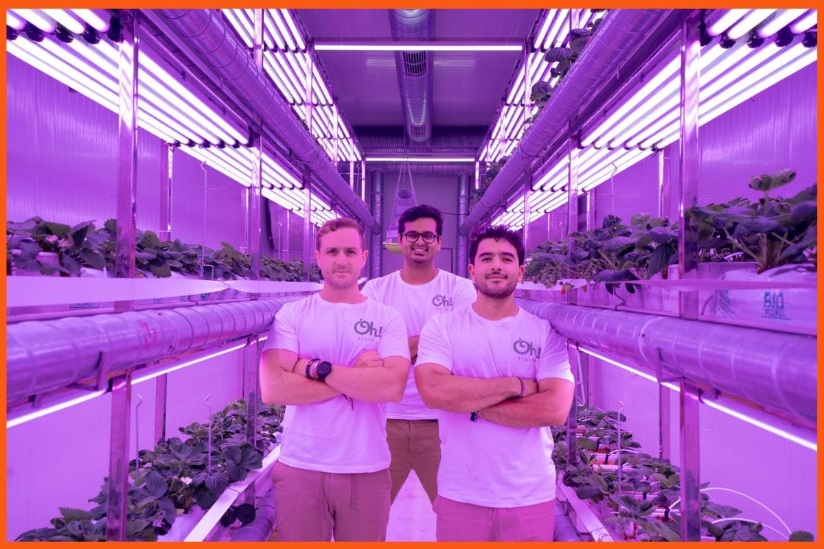 Fragaria Fruits Secures $2 Million in Seed Funding Led by WEH Ventures to Transform India’s Premium Fruit Market
