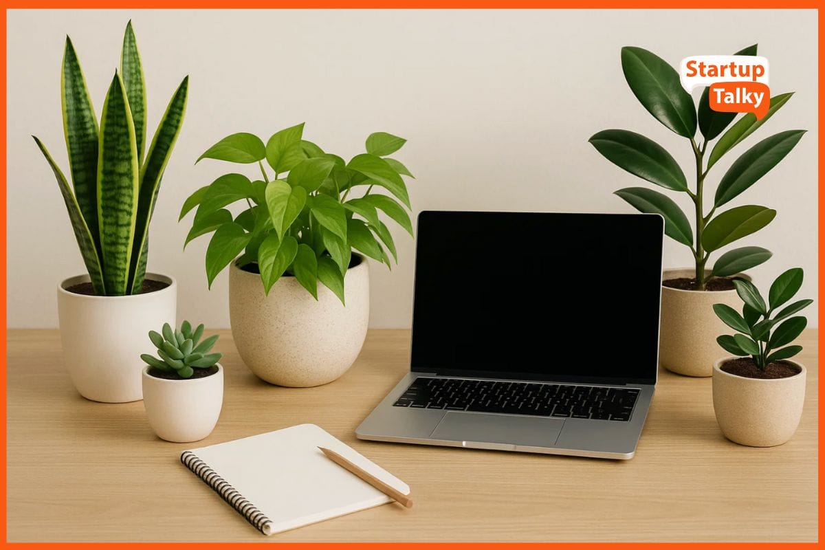Best Low-Maintenance Indoor Plants for Your Workspace