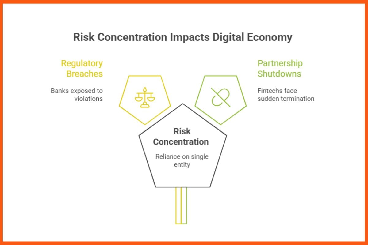 Risk Concentration Impacts Digital Economy