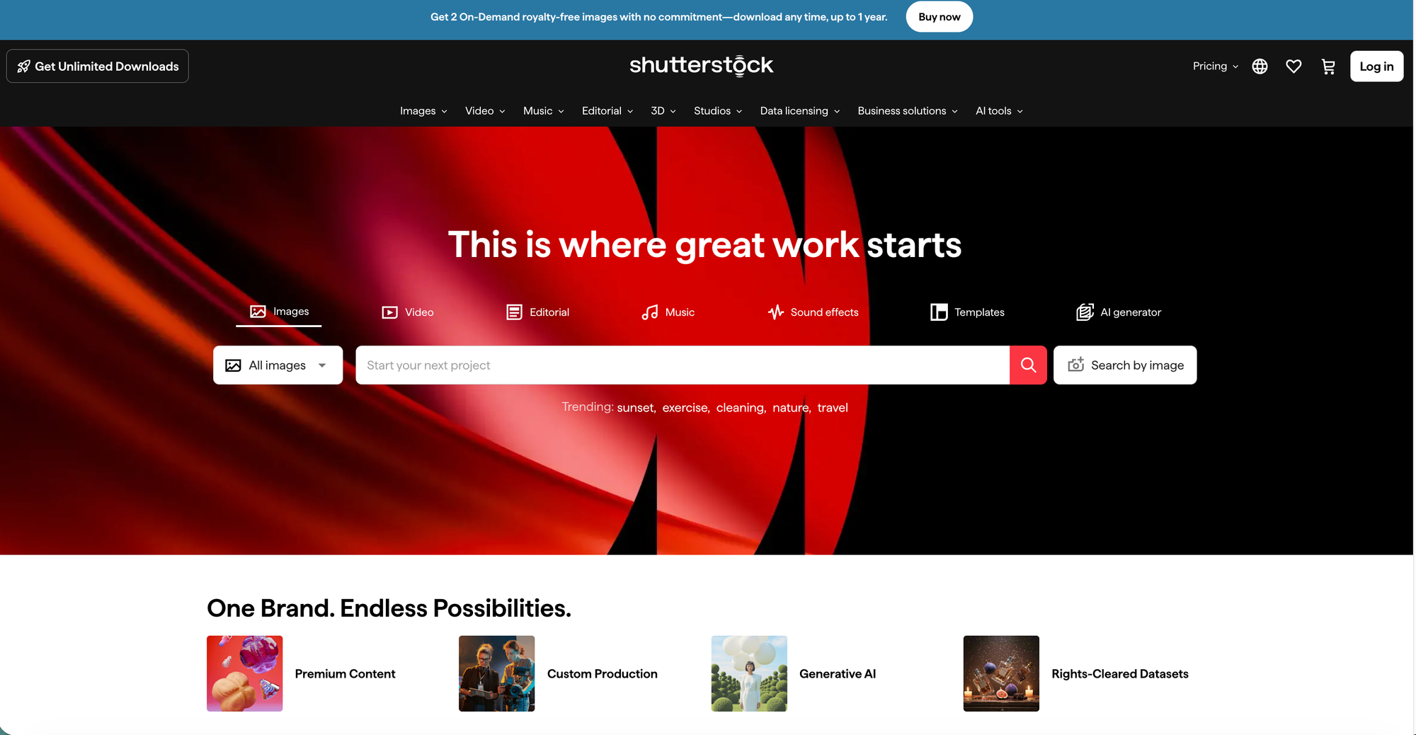 Shutterstock Website