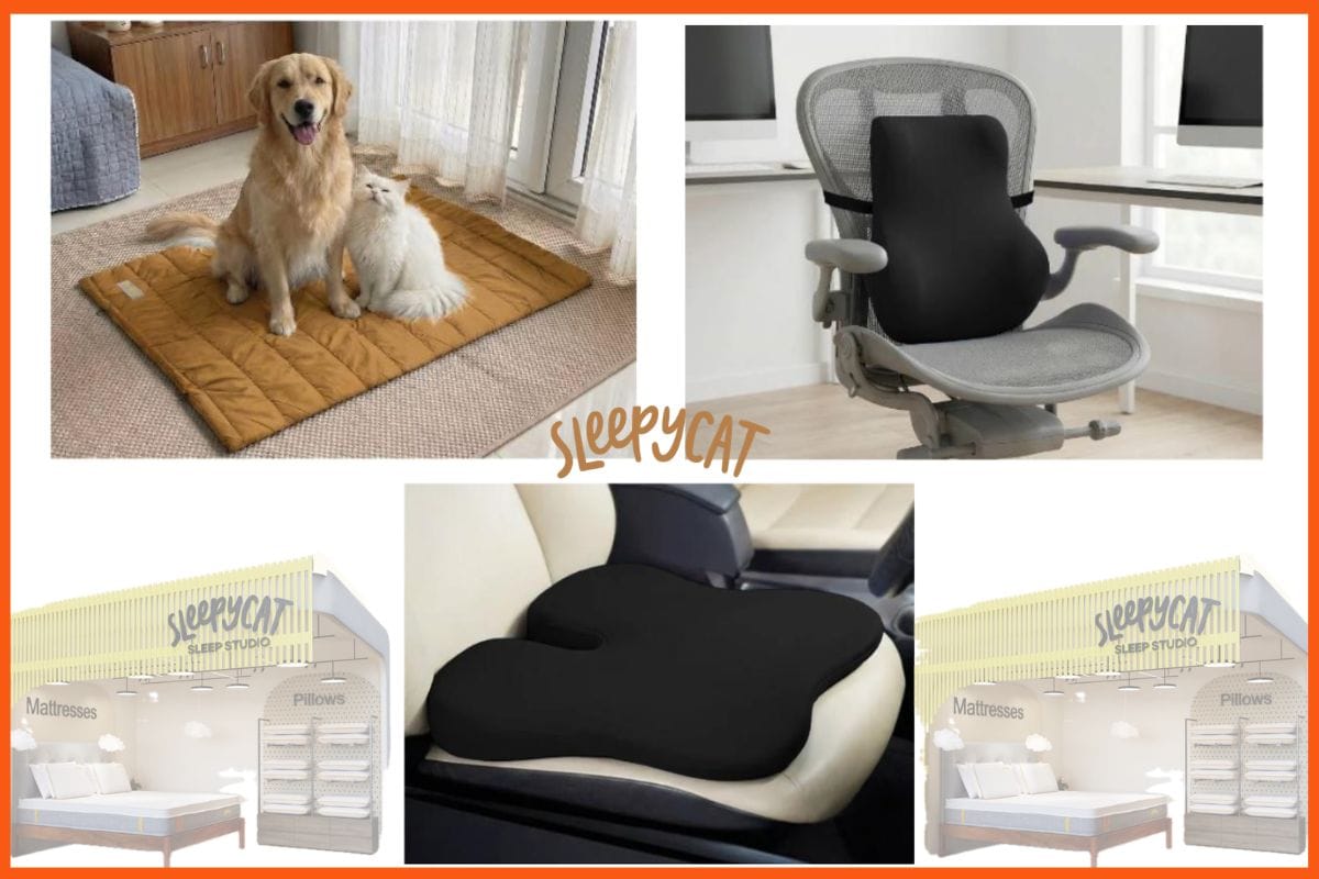 SleepyCat - Best Indian Brands for Raksha Bandhan Gifting
